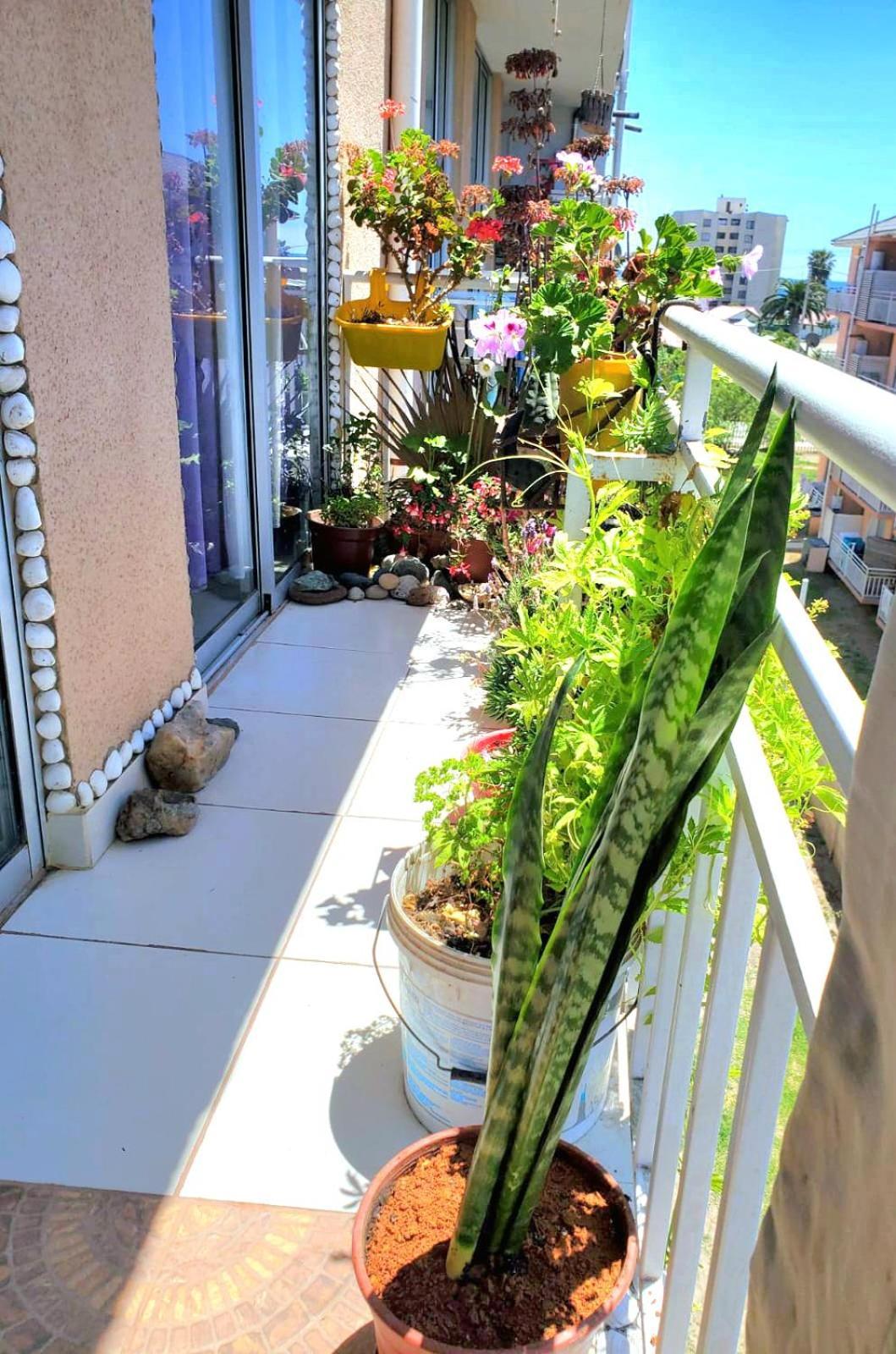 Acogedor Departamento Veraneo A Pasos De La Avenida Del Mar Apartamento *