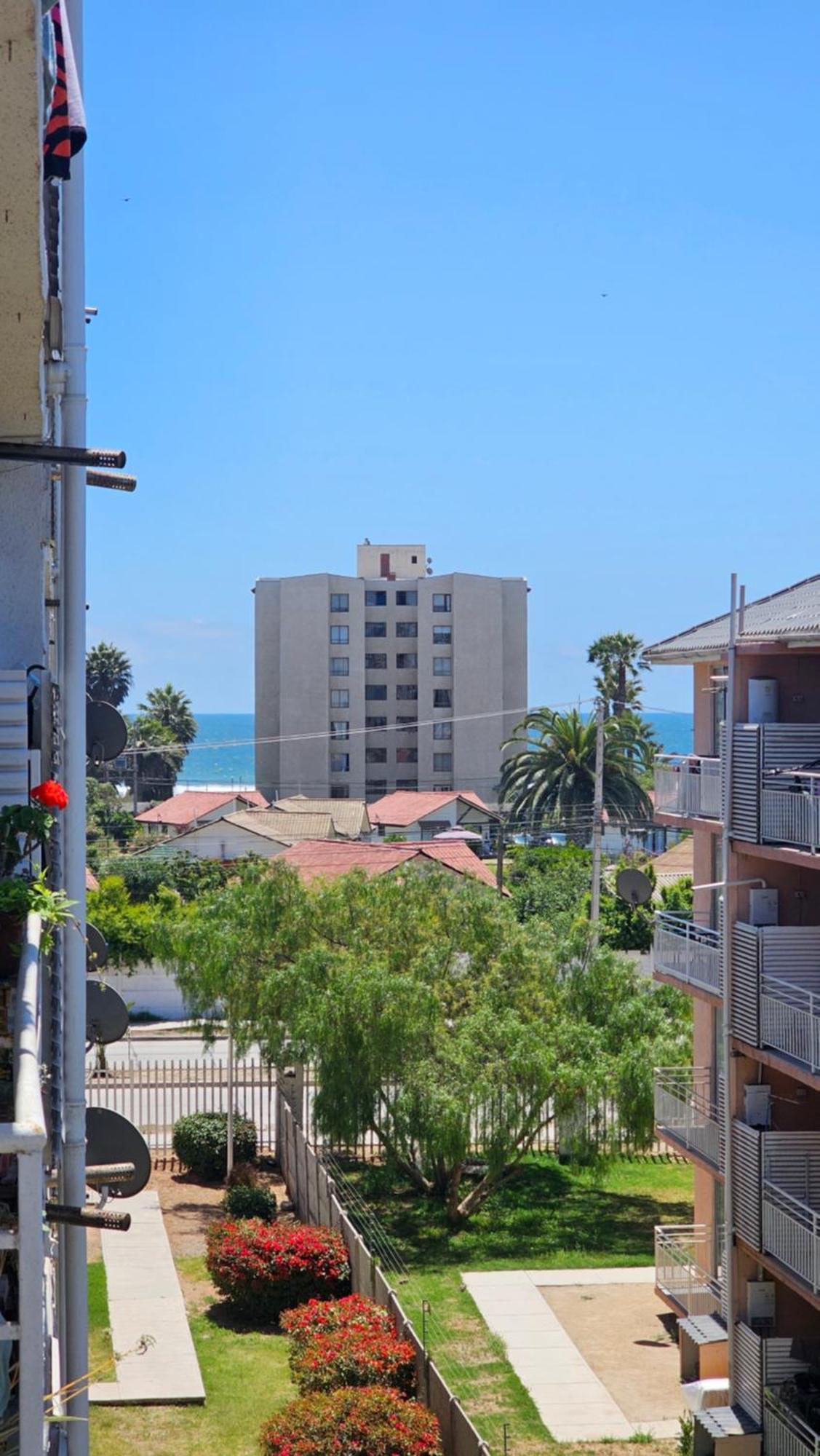 Apartamento Acogedor Departamento Veraneo A Pasos De La Avenida Del Mar *